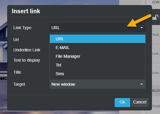 Shows the "insert link" drop down menu options. Clicking URL reveals Email, File Manager, Telephone, and SMS optinos.