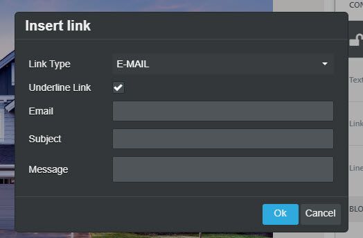 The insert link field with a link type of Email