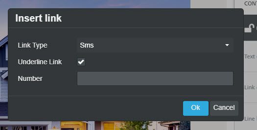 The insert link field with a link type of SMS