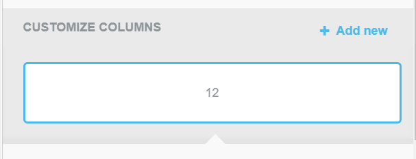 An image of the "Customize Columns" area showing a single column row. The "+ Add New" option is to the top right.